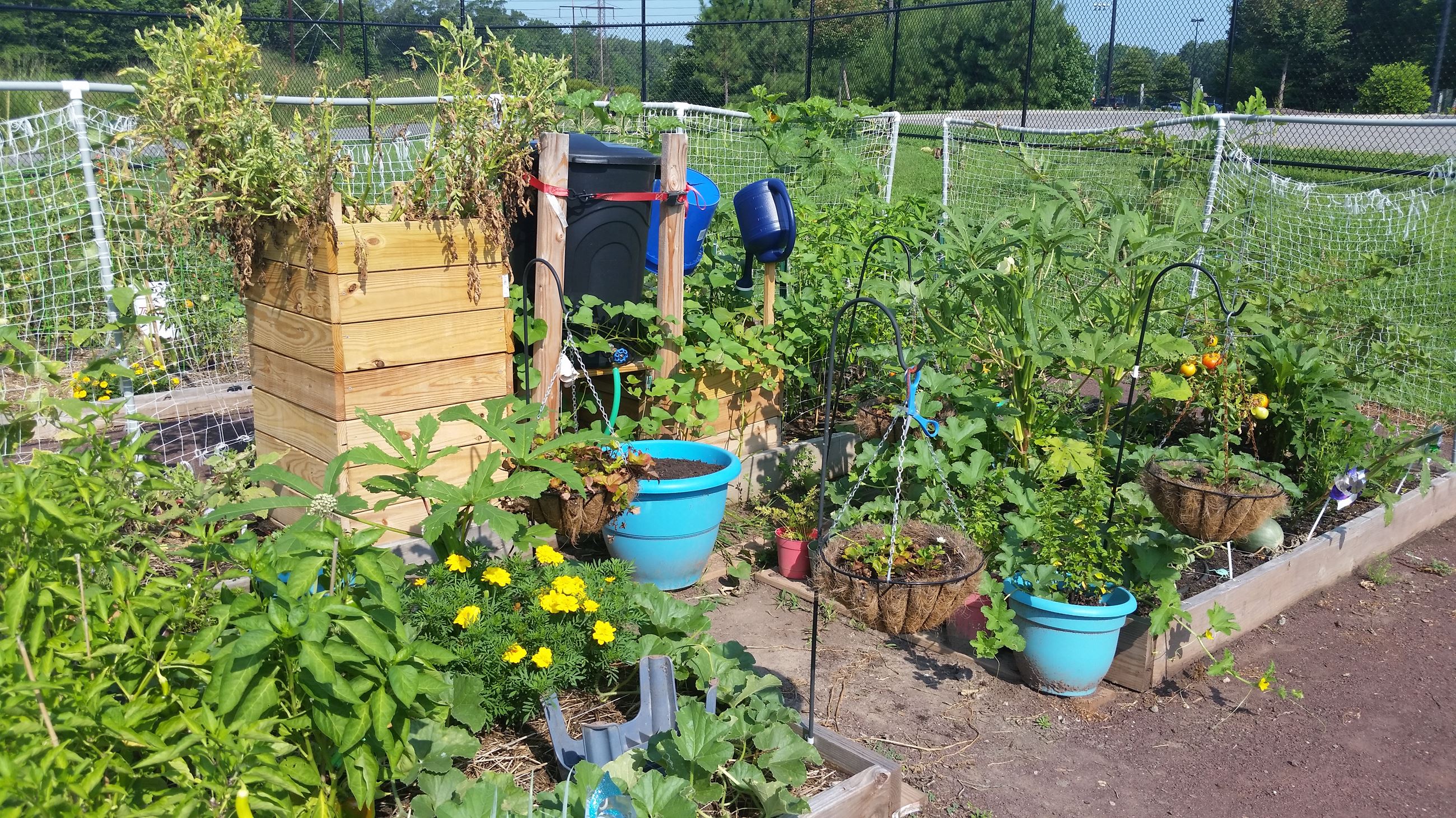 Community Garden Plot