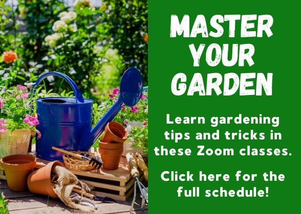 Learn gardening tips and tricks in these Zoom classes