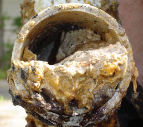 This is an image of Grease Buildup in Pipes