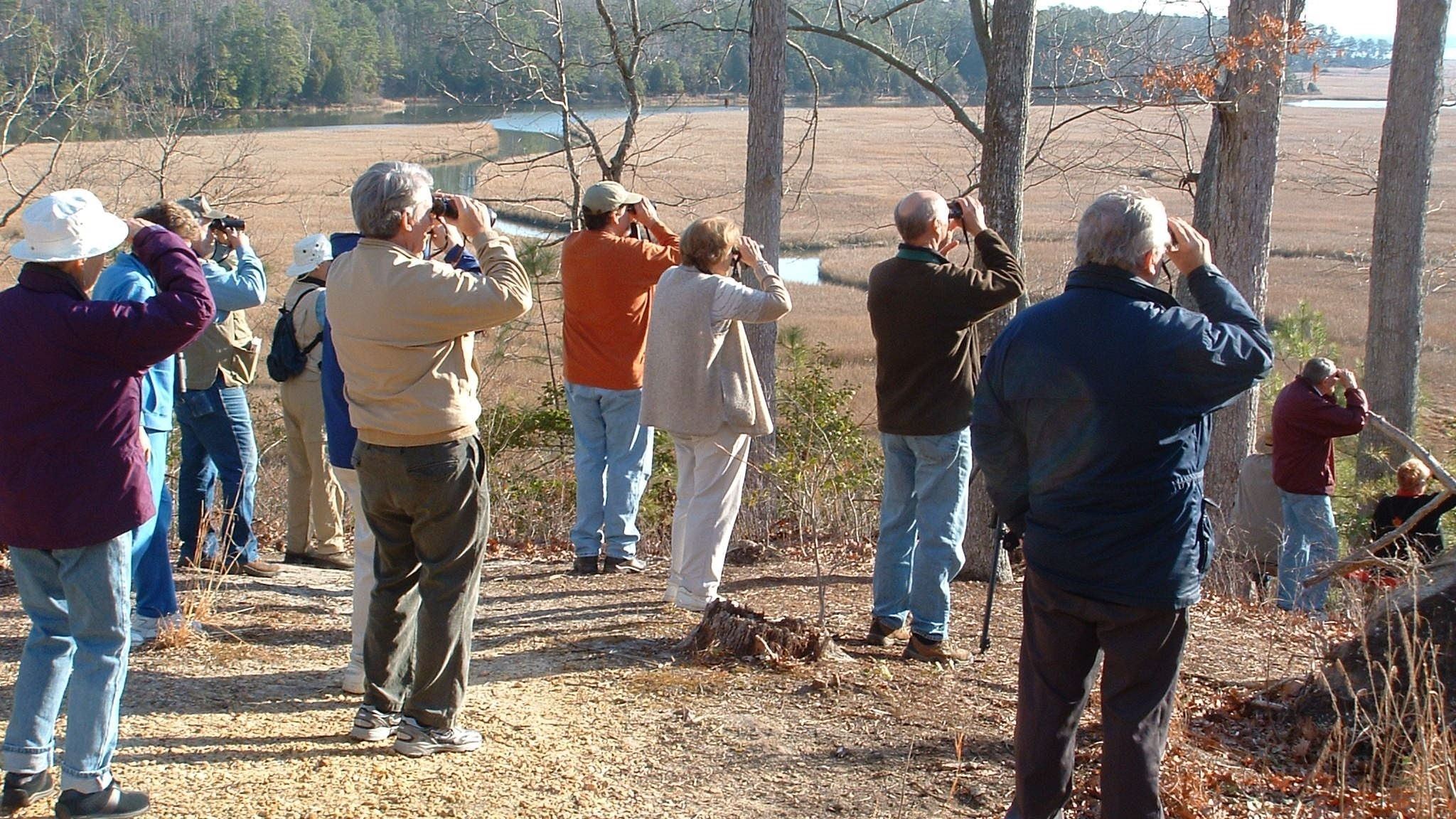 Group of People on a Bird Walk