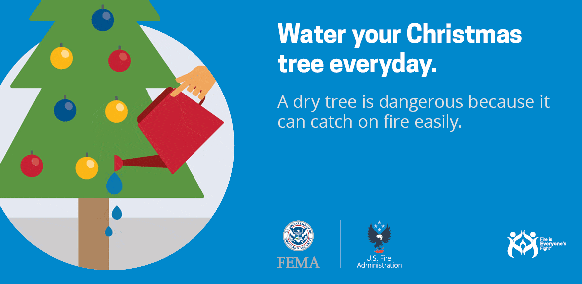 Here is a reminder to water your Christmas tree every day.