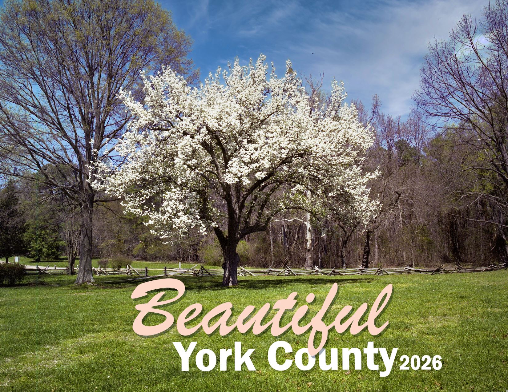 This is an image of the 2026 Calendar Cover