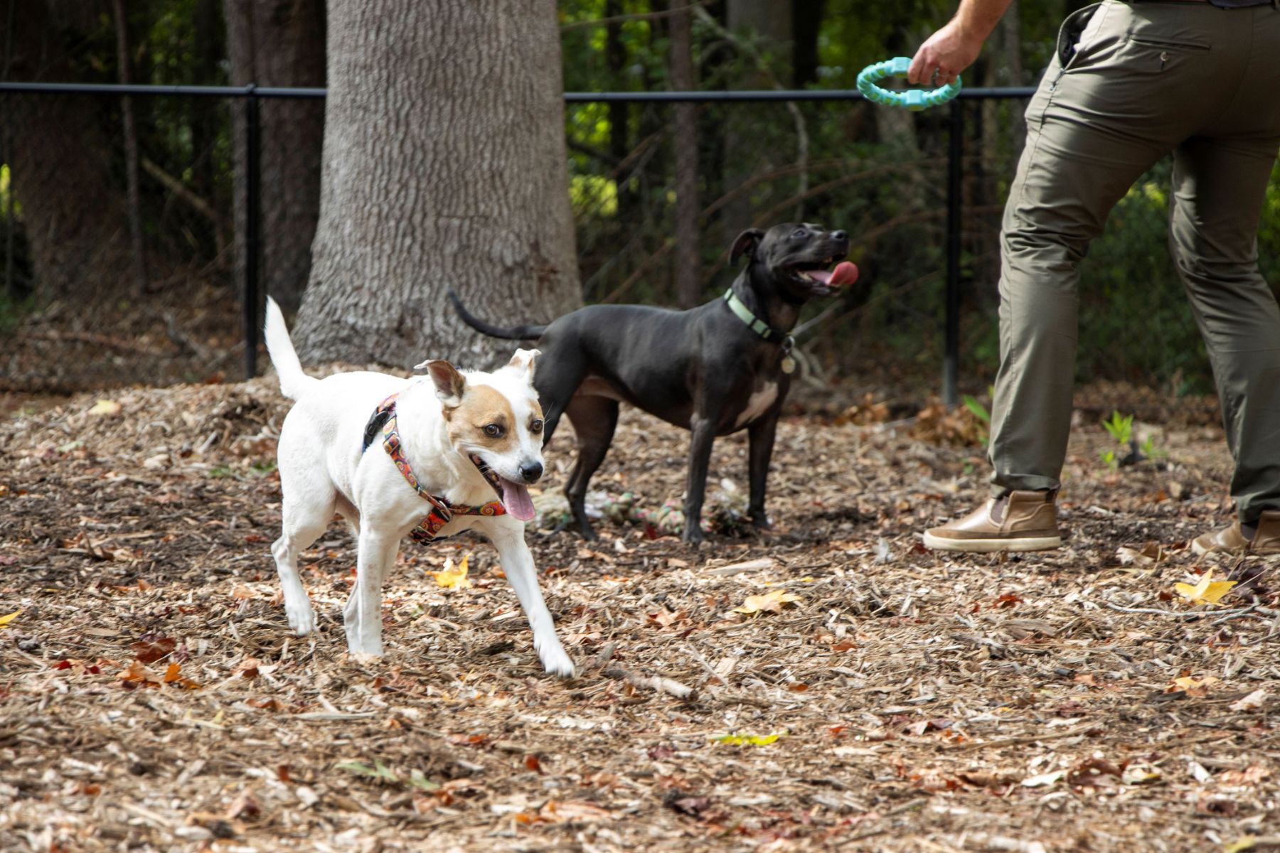 NACo Award Winners 2025