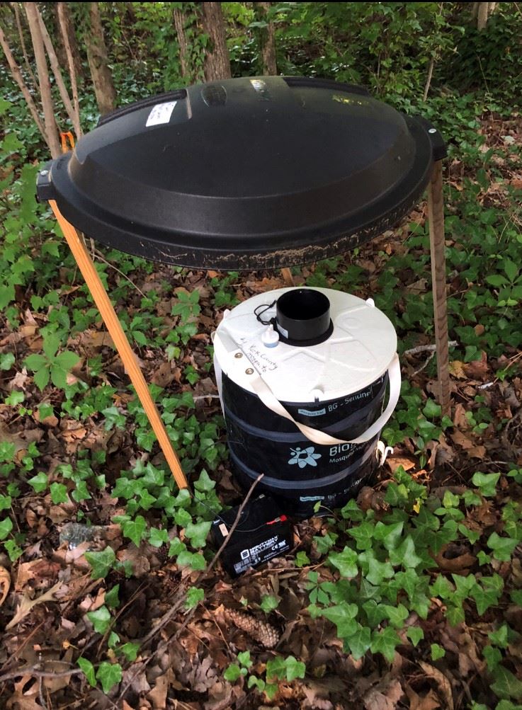 This is an image of a BG Sentintel trap