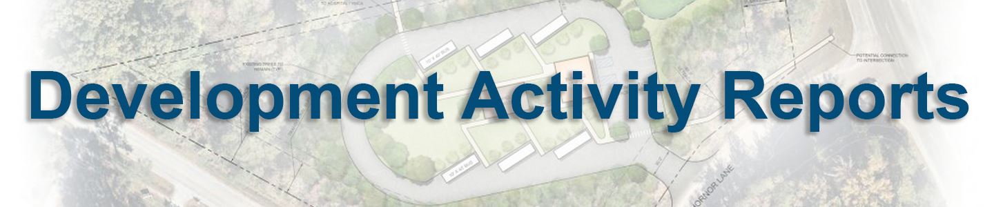 Dev Activity Reports