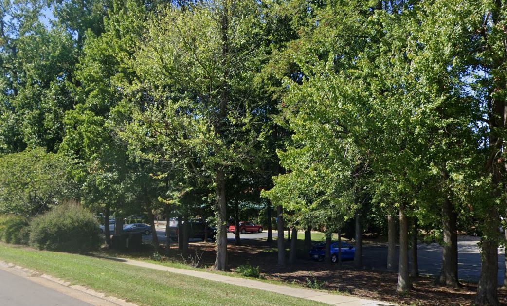 Greenbelt on Victory Boulevard